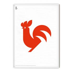 Animal Rooster Poster - 50x70 cm
