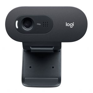 Logitech C505e webbkameror 1280 x 720 pixlar USB Svart